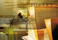 portfoliosmall